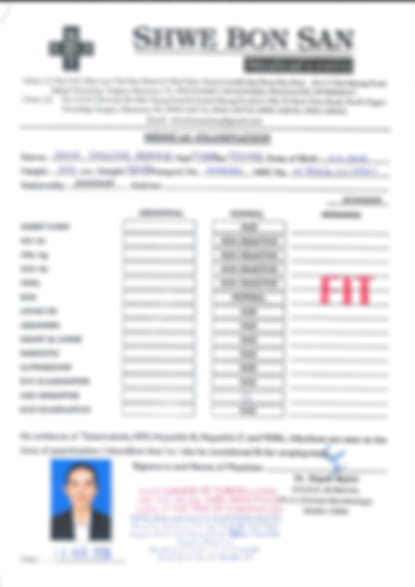 Myanmarese maid biodata