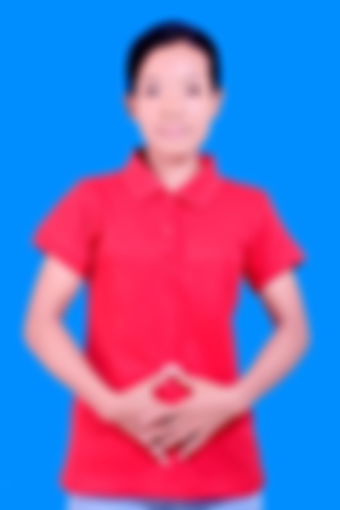 Myanmarese maid biodata