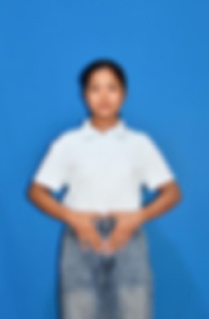 Myanmarese maid biodata