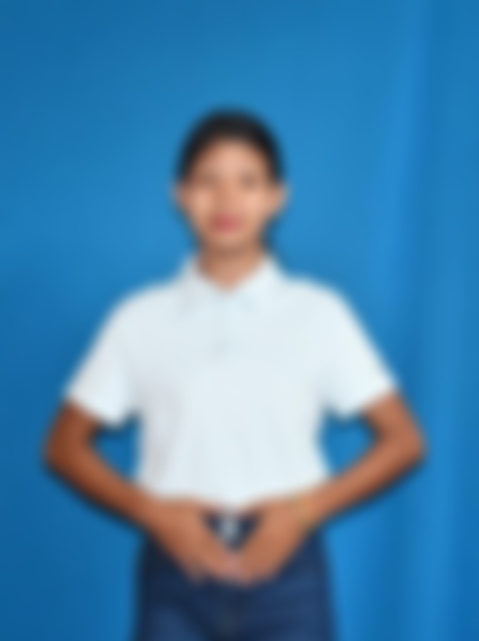 Myanmarese maid biodata