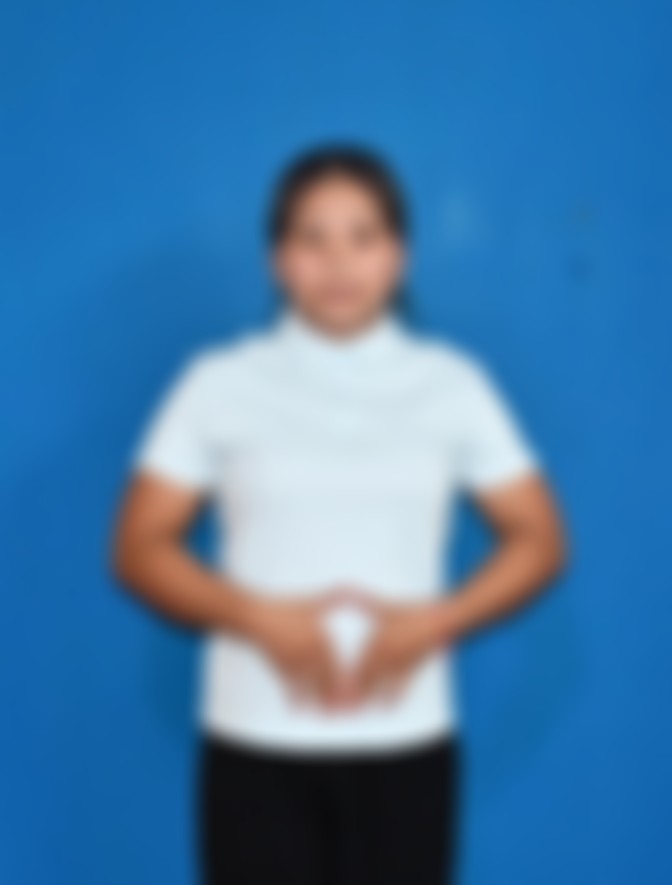 Myanmarese maid biodata