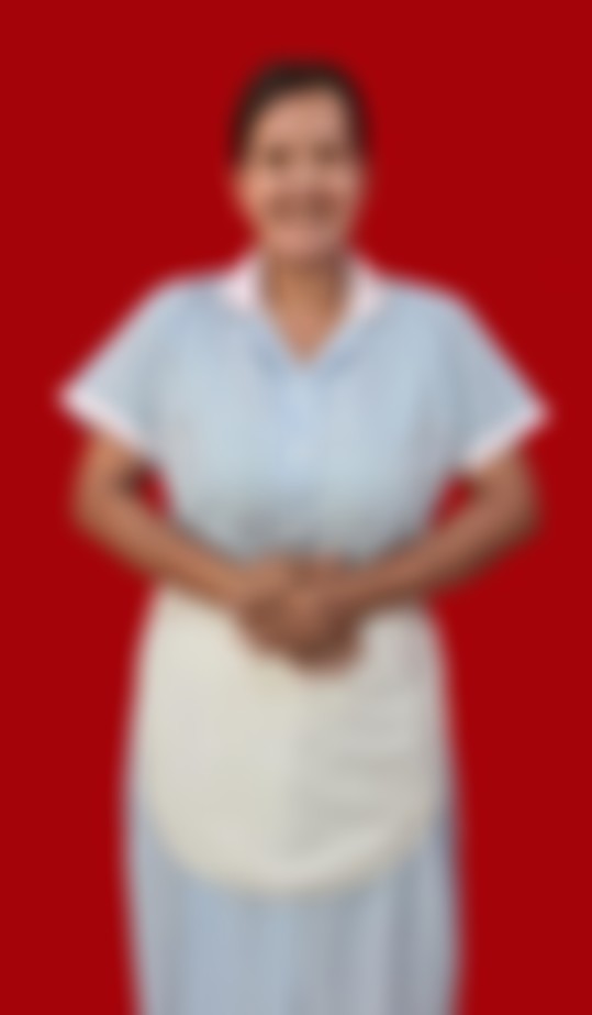Indonesian maid biodata