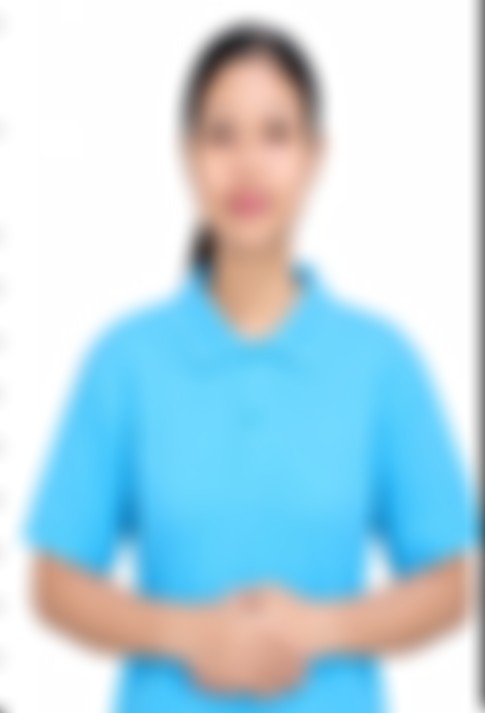 Myanmarese maid biodata