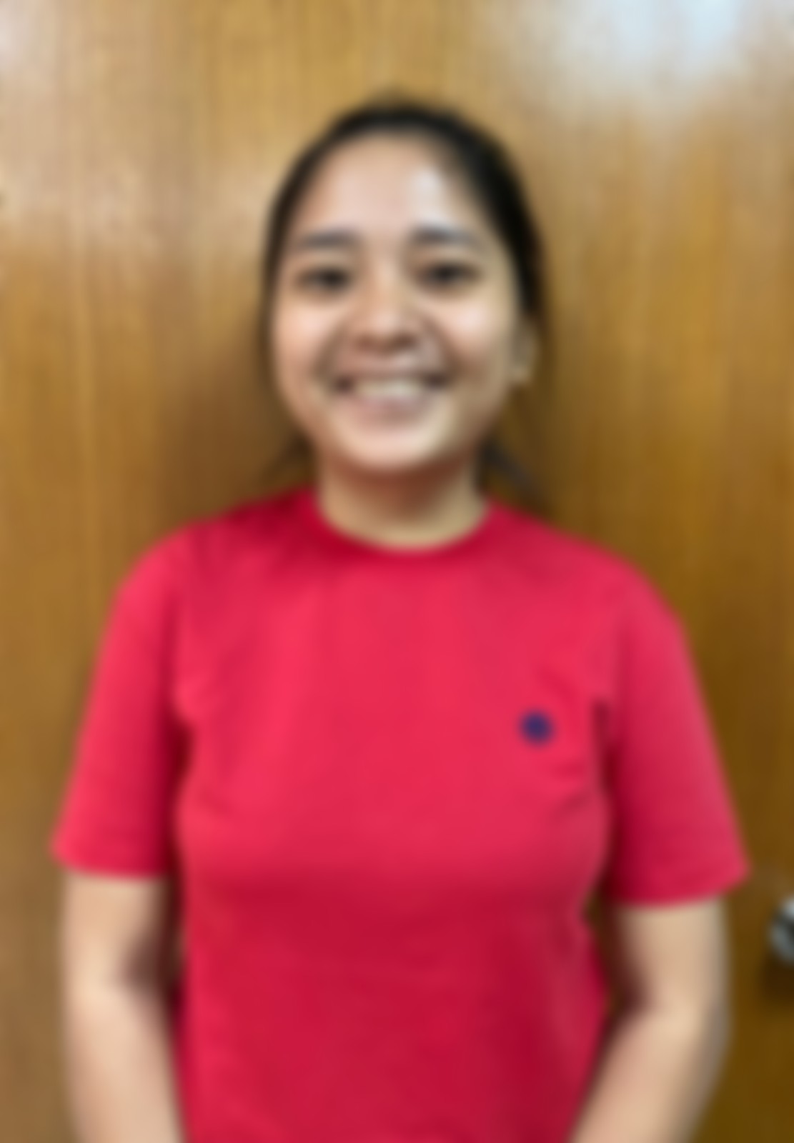 Myanmarese maid biodata