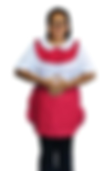 Ex-Singapore Indonesian helper biodata photo