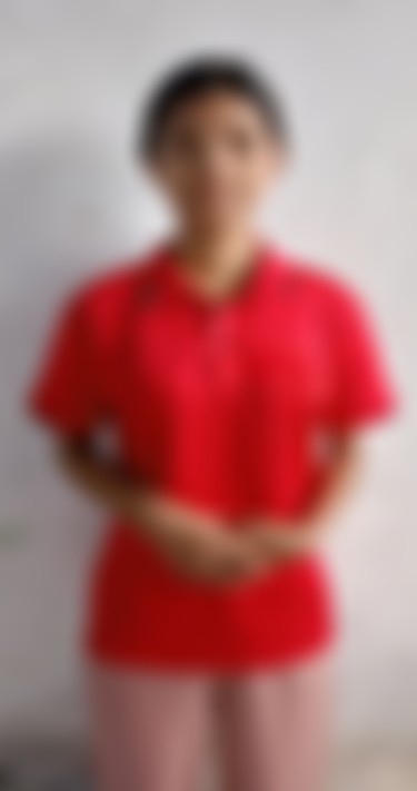 Myanmarese maid biodata