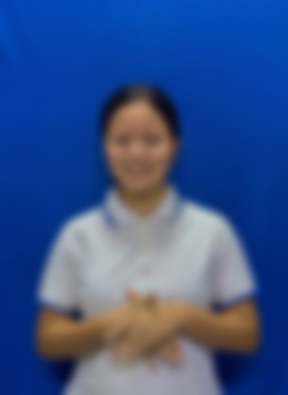 Myanmarese maid biodata
