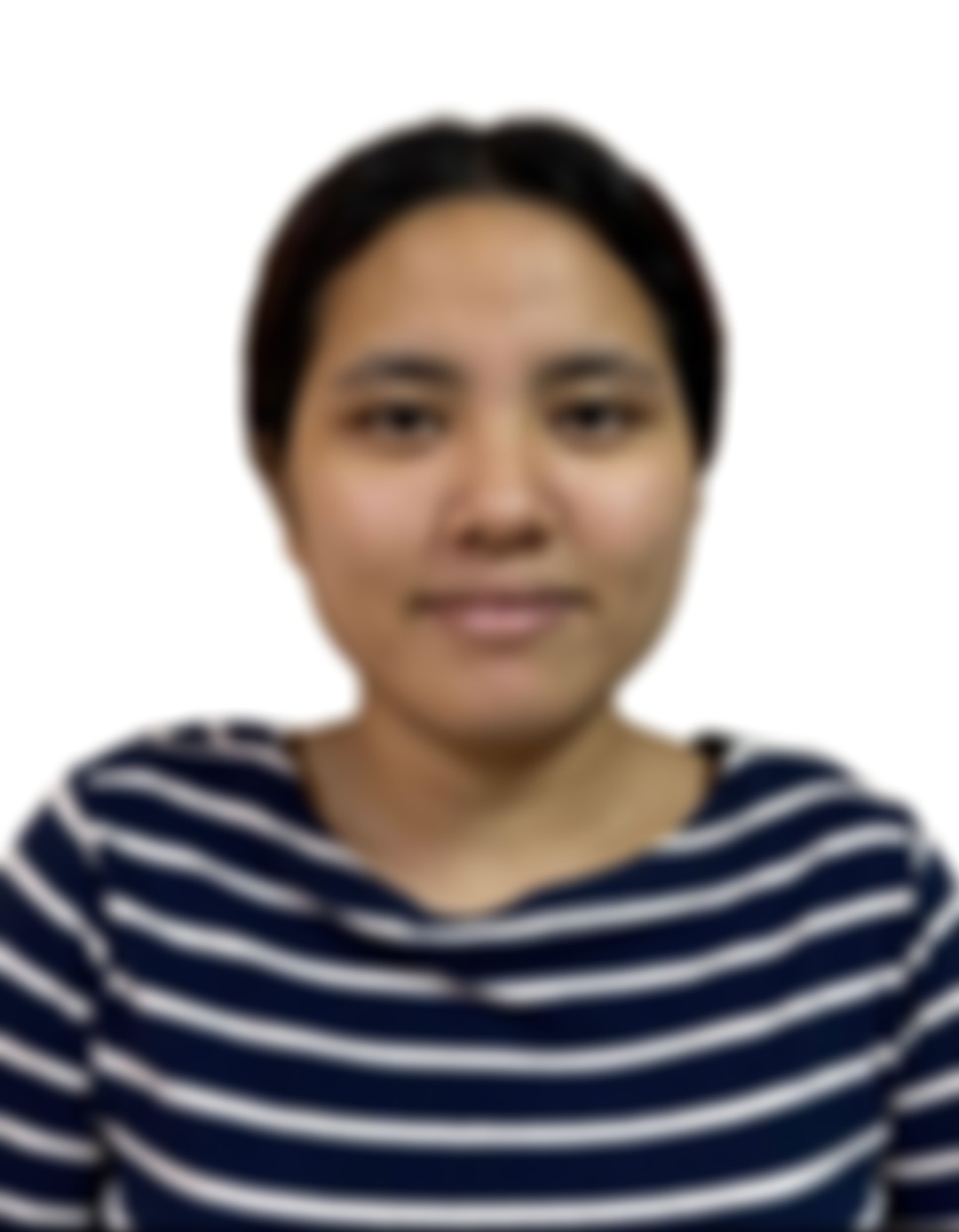Myanmarese maid biodata