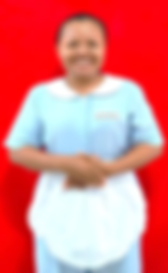 Others maid biodata