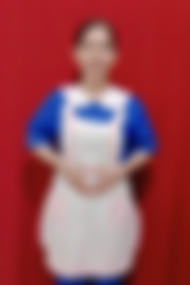 Indonesian maid biodata