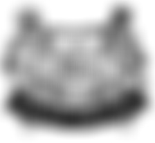 Experienced Myanmarese helper biodata photo