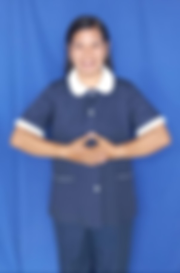 Indonesian maid biodata