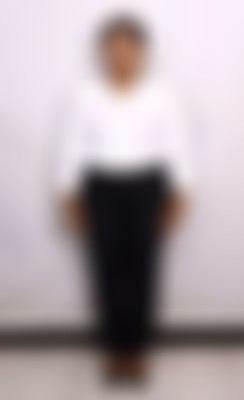 Others maid biodata