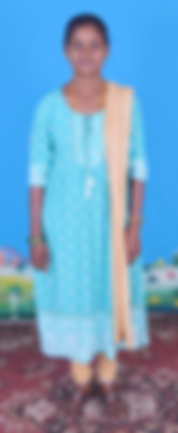 Others maid biodata