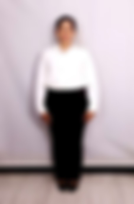 Others maid biodata