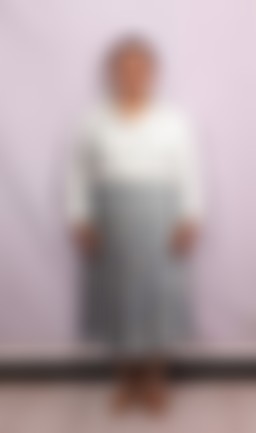 Others maid biodata