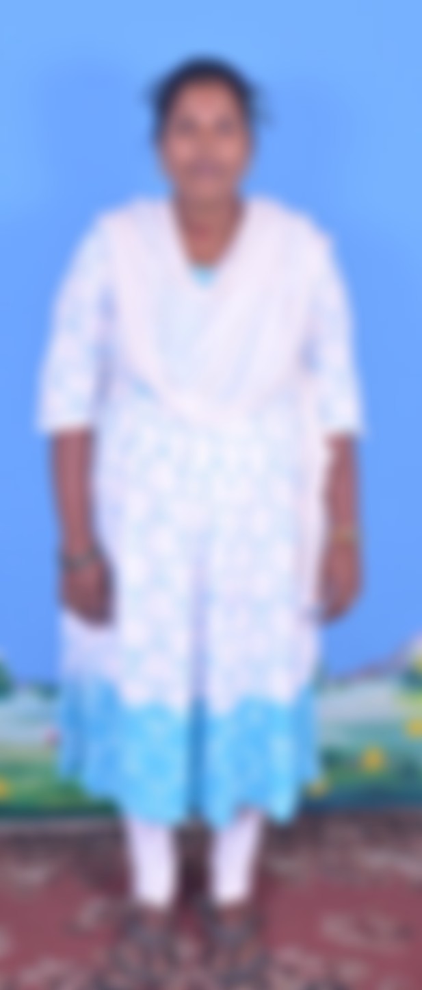 Others maid biodata