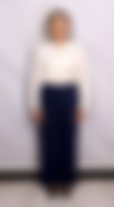 Others maid biodata