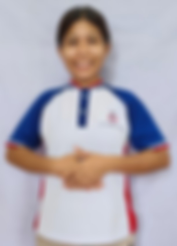 Myanmarese maid biodata
