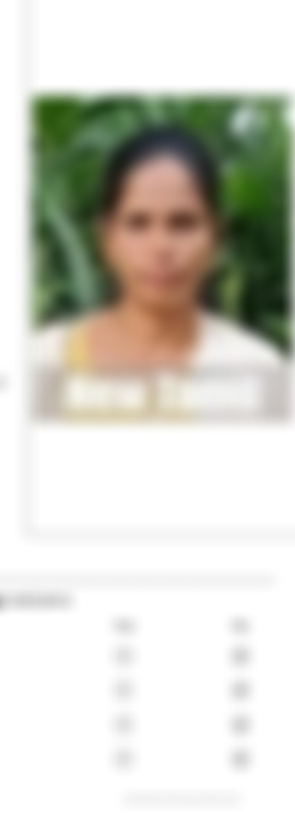 Others maid biodata